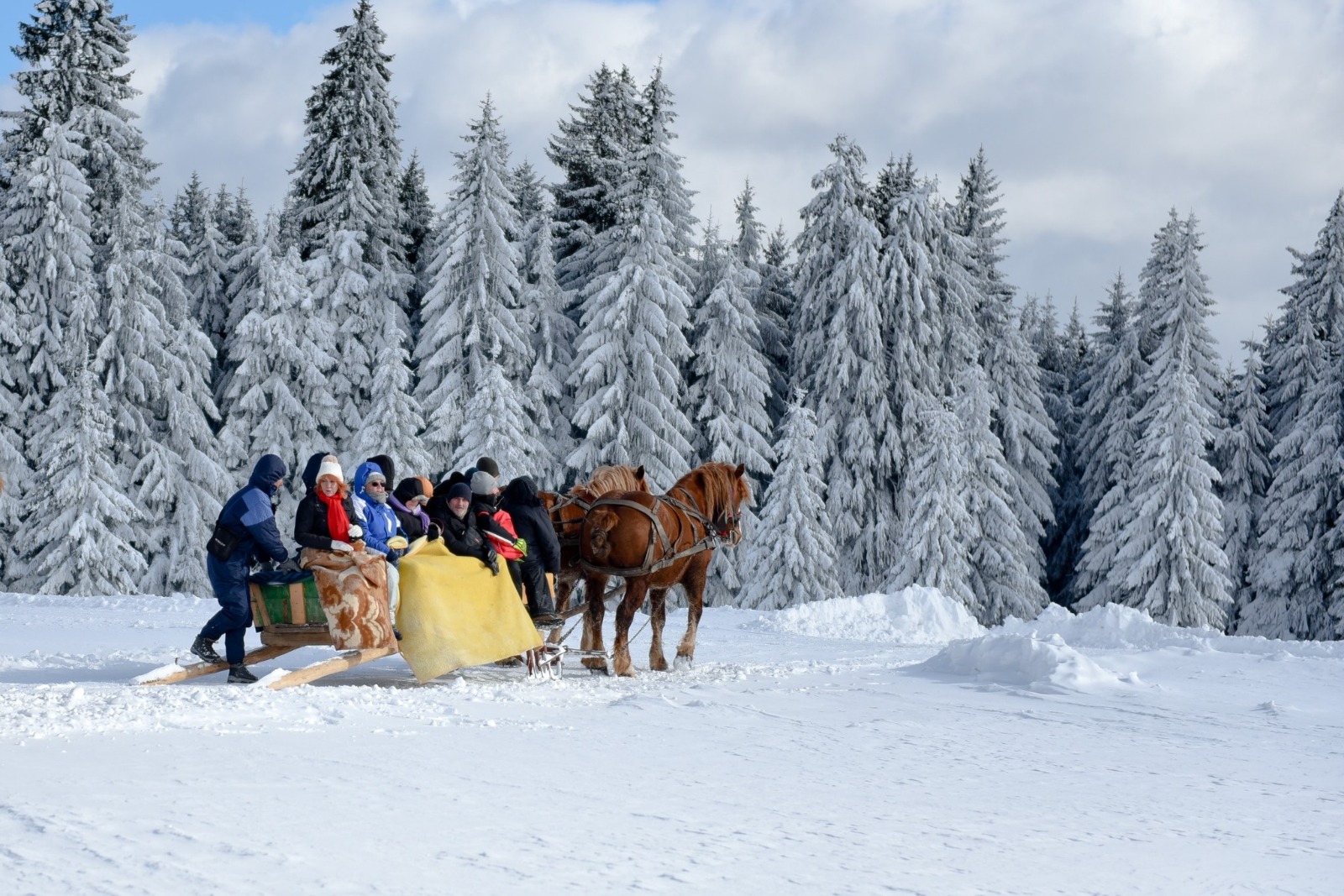 Hargita megye újra bemutatkozik Budapesten